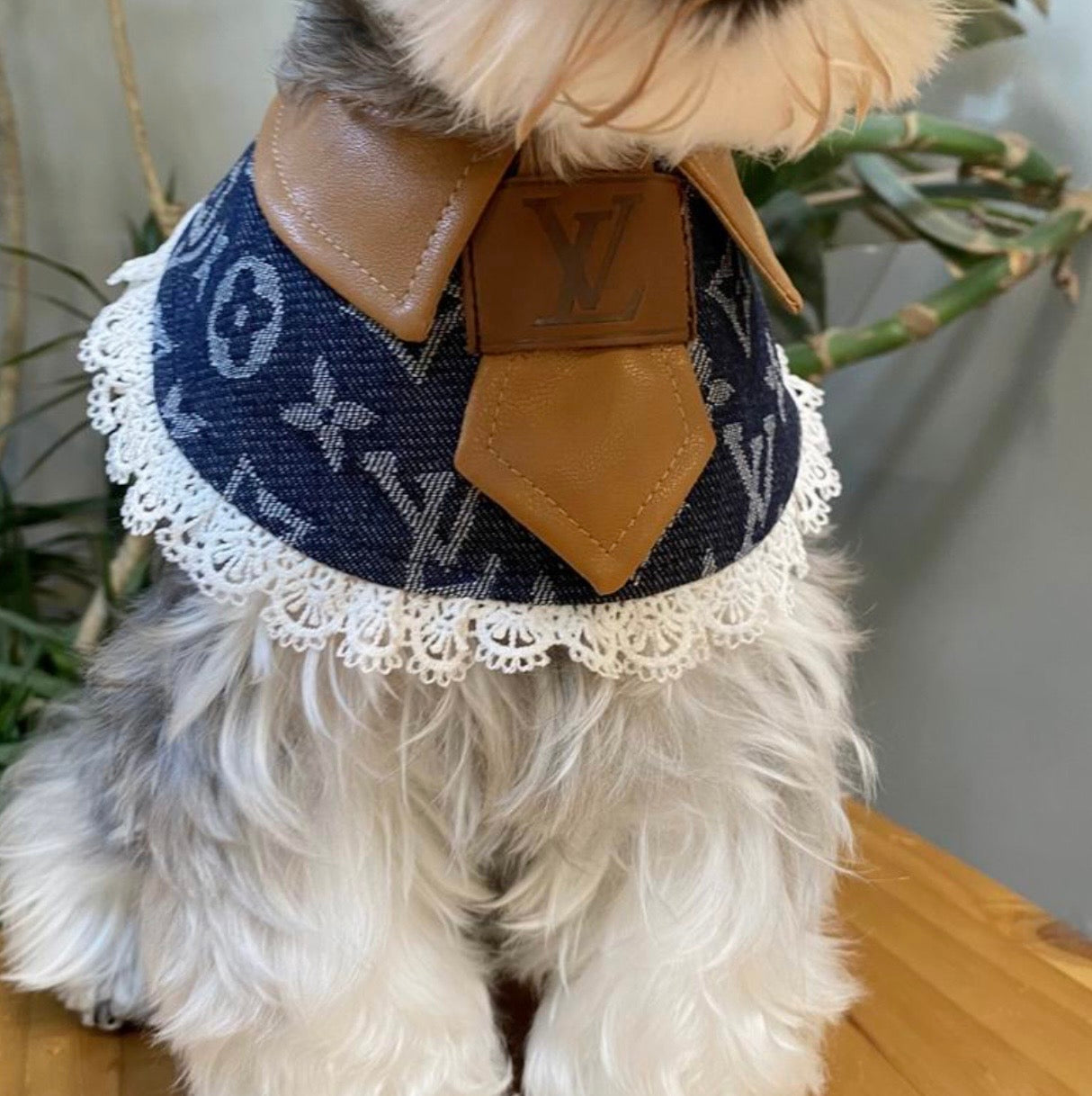 Monogram Pet Collar Bib