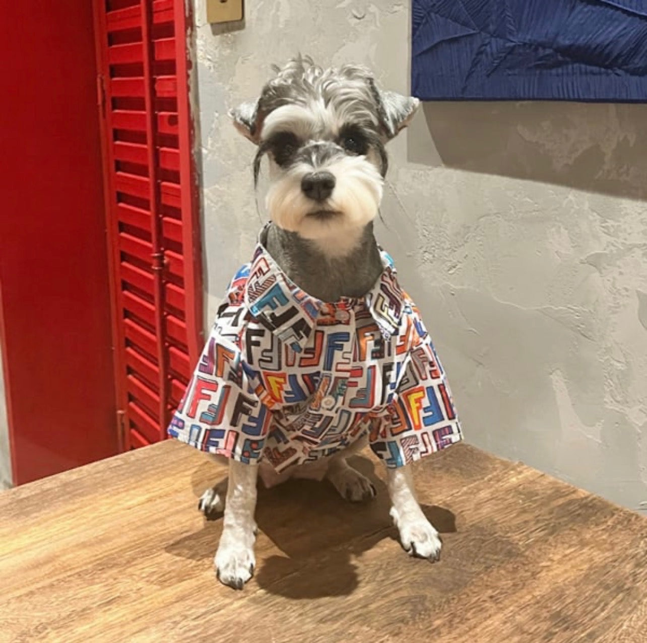 Pet Collared Shirt