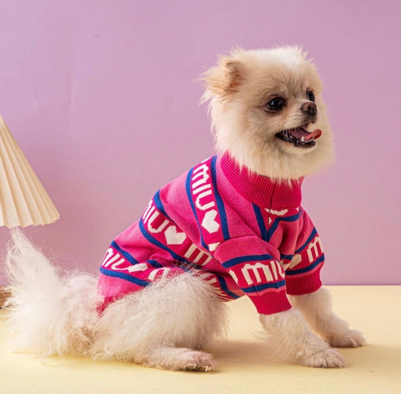 Knit Sweater (MM)