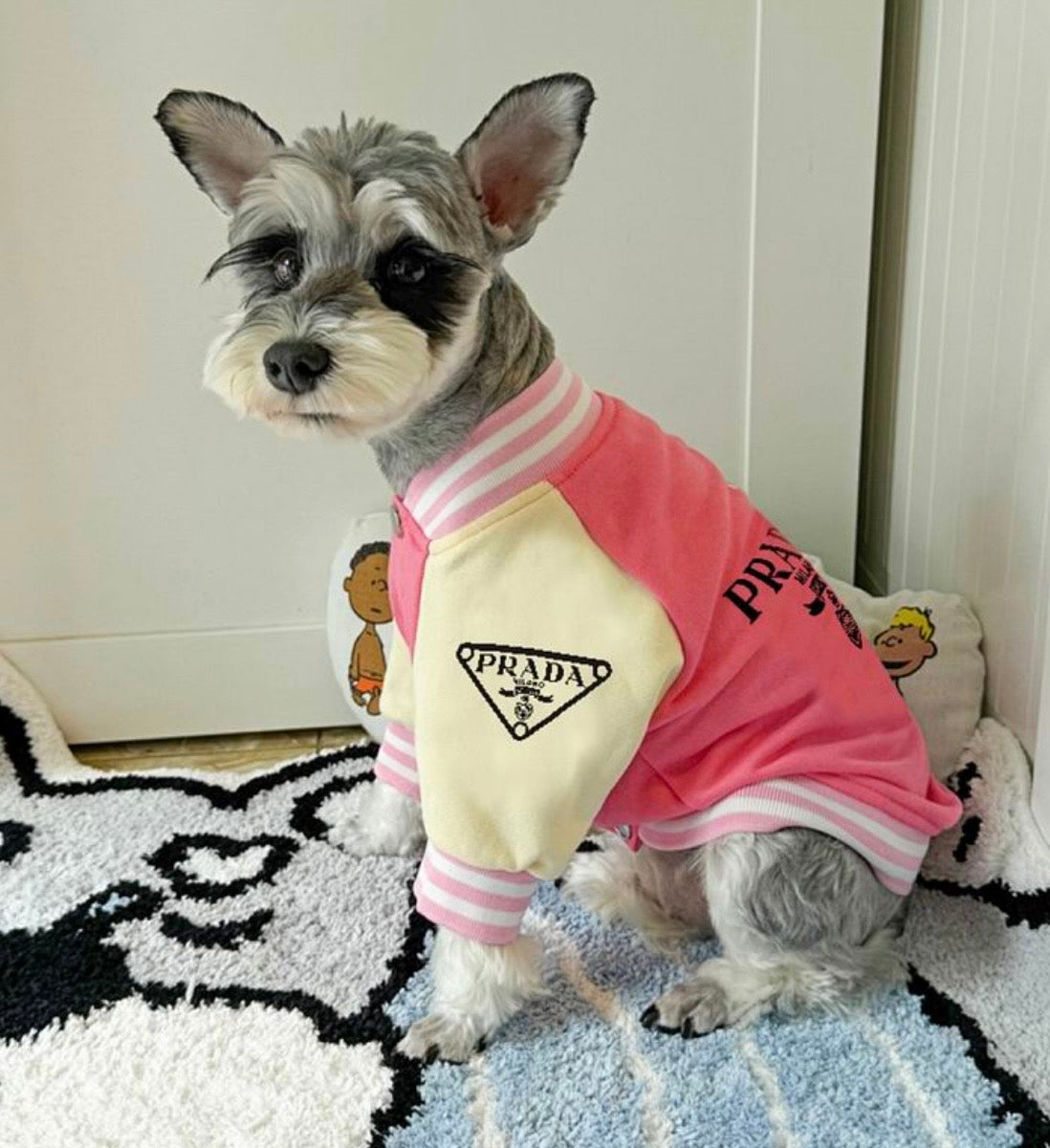 Varsity Pet Jacket