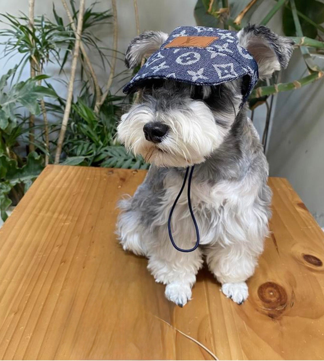Monogram Pet Hat