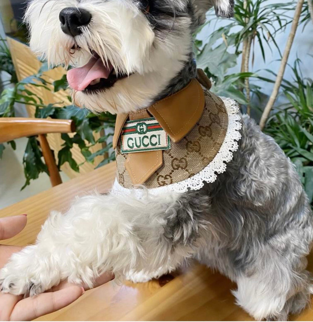 Monogram Pet Collar Bib