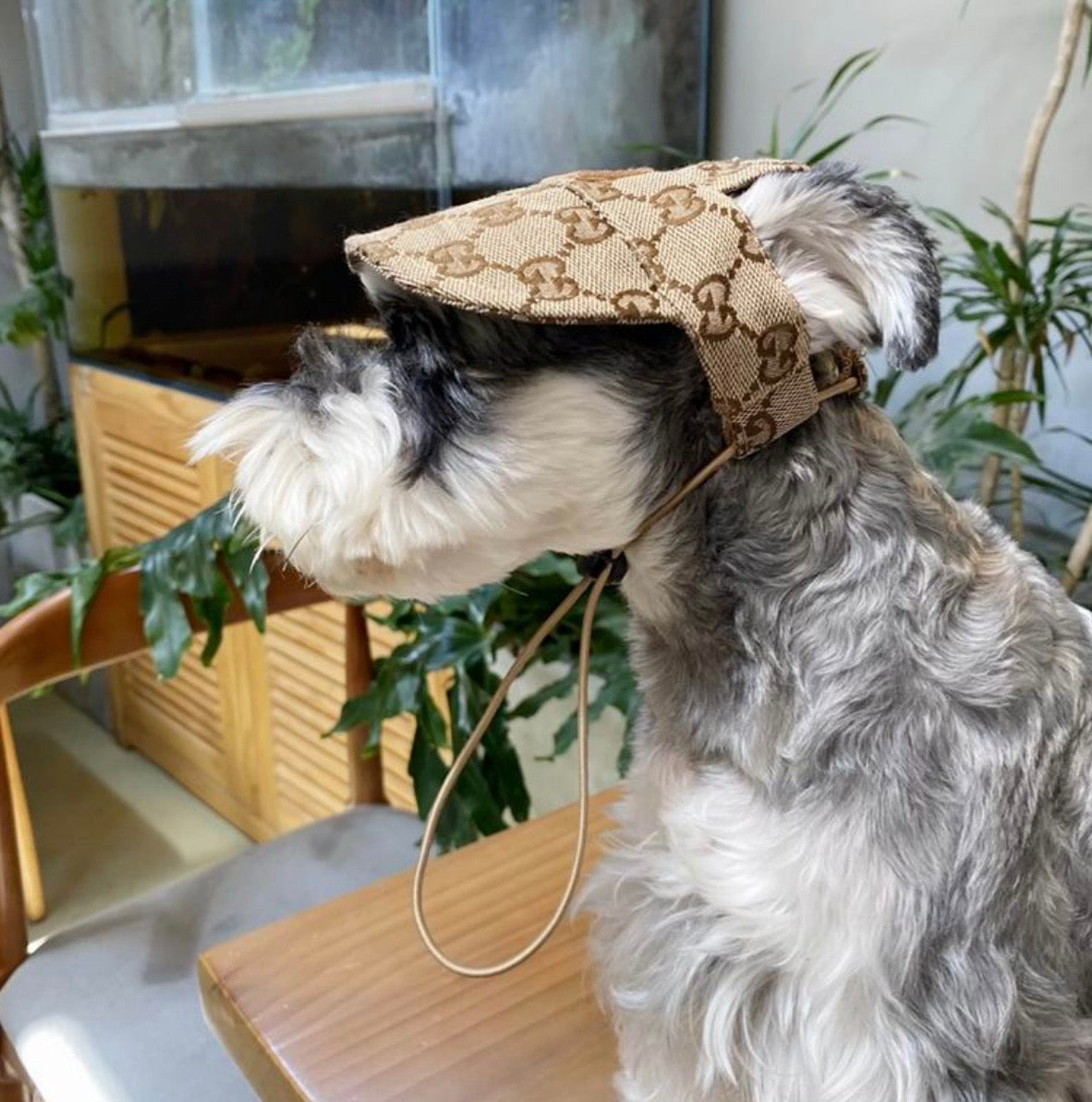 Monogram Pet Hat