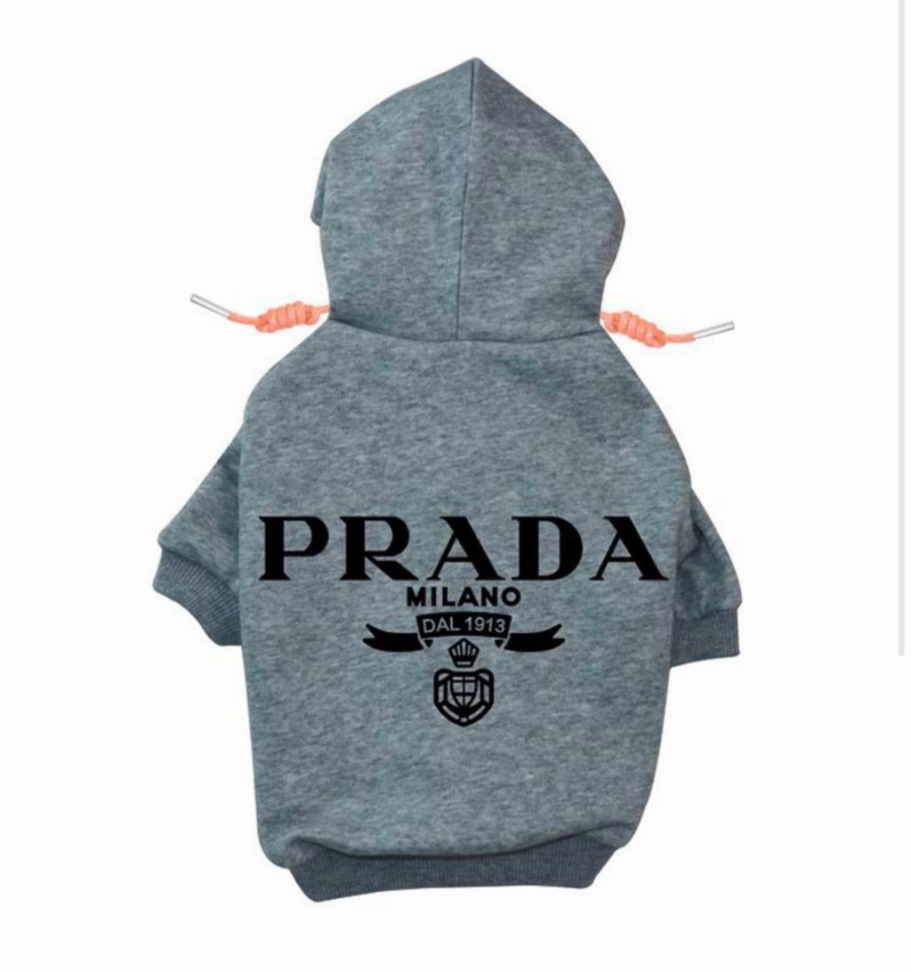 Pet Hoodie with Orange Drawstrings (P)