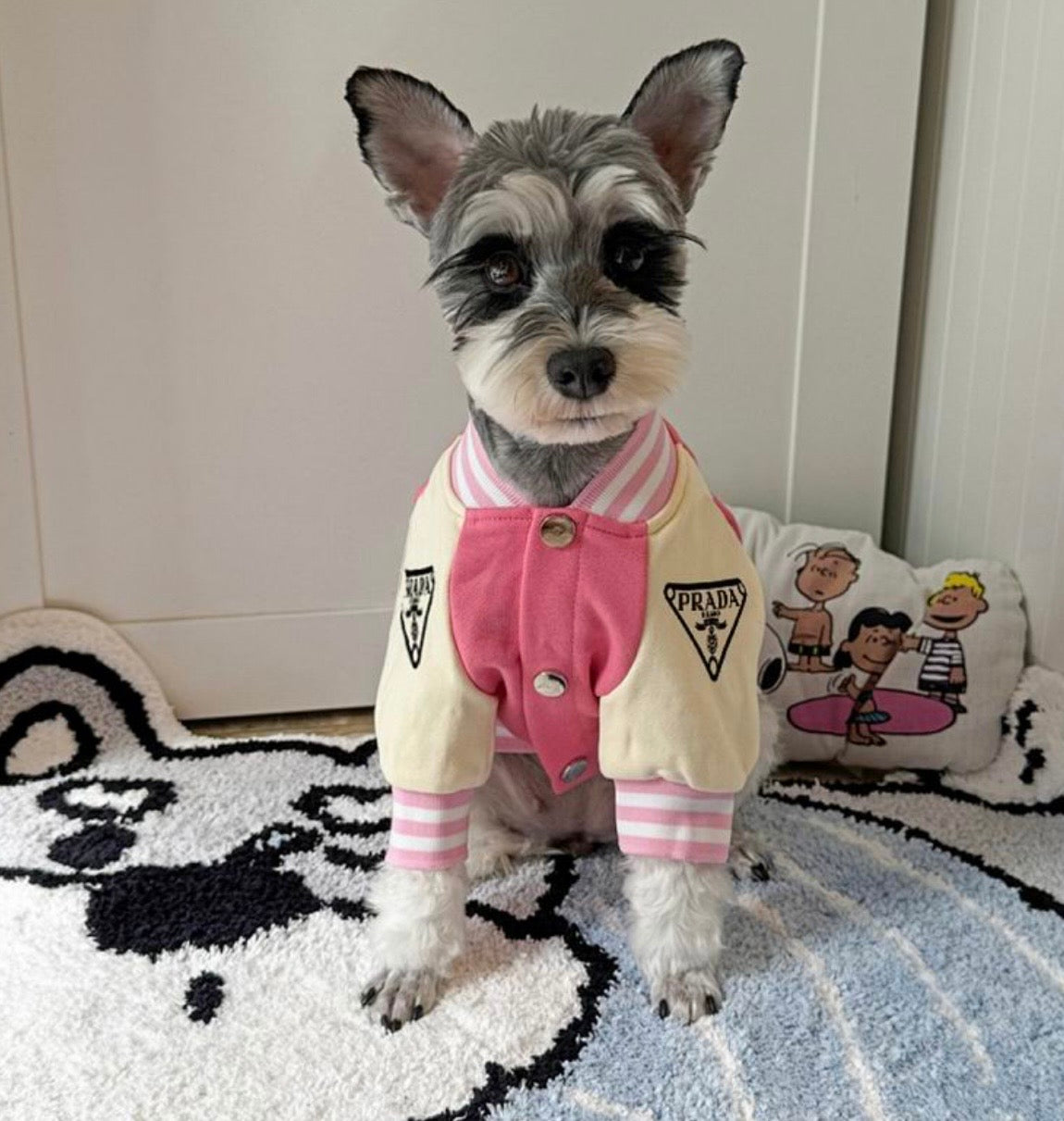Varsity Pet Jacket