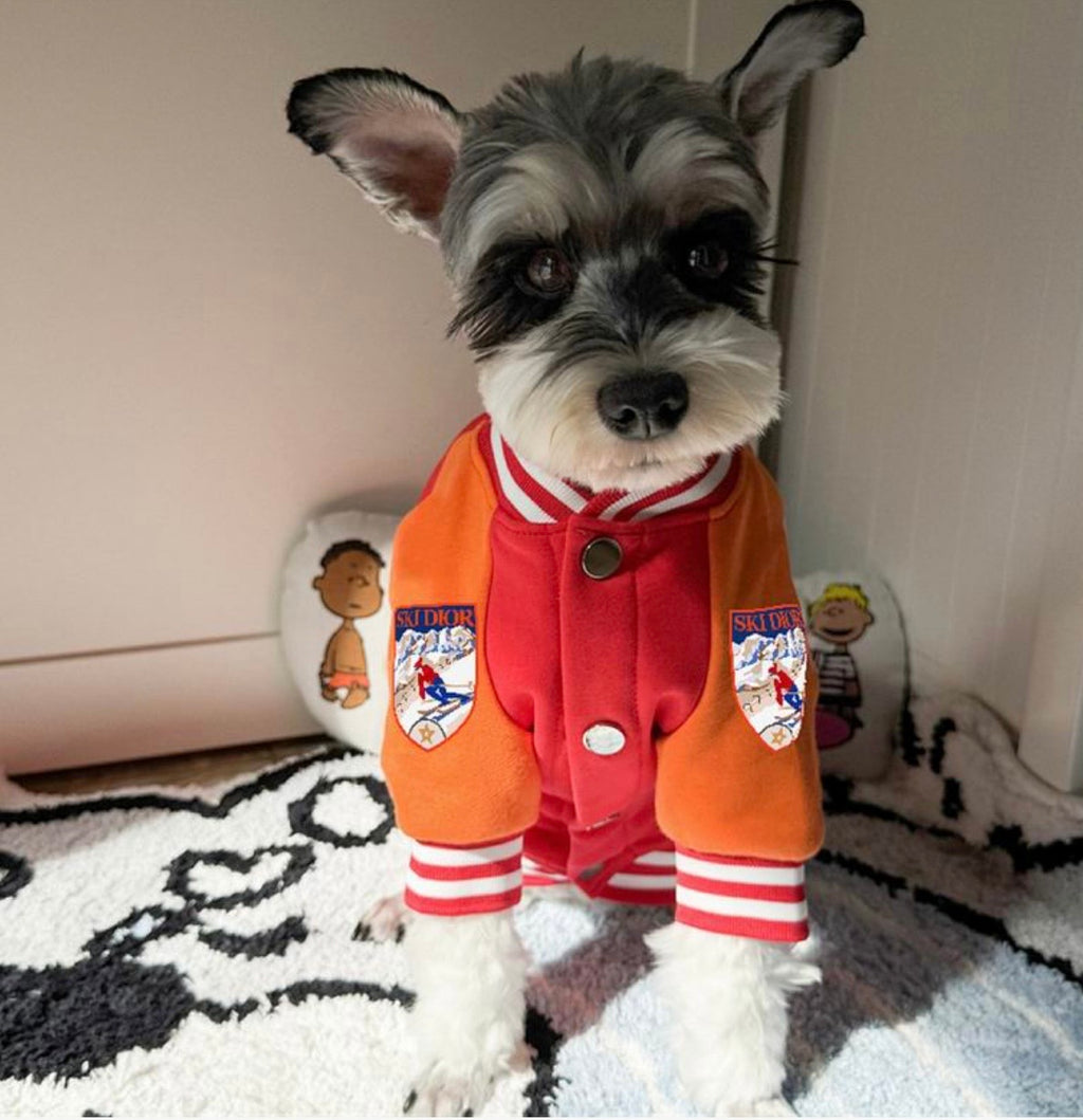 Varsity Jacket (D)