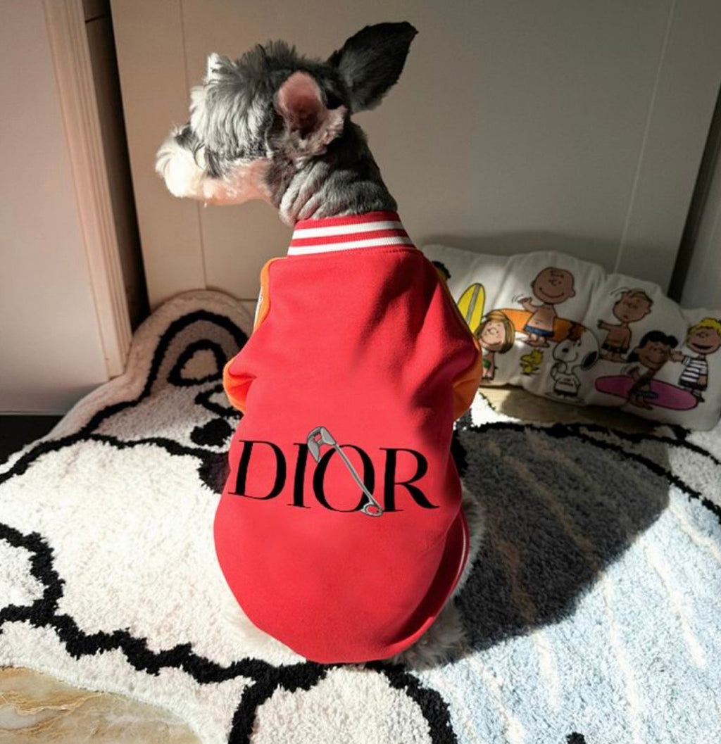 Varsity Jacket (D)